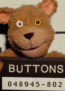 Buttons the Bear