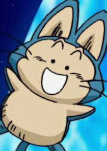 Puar
