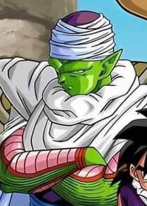 Piccolo