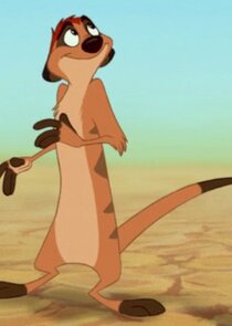 Timon