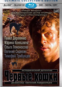 Чёрные кошки