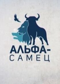 Альфа-самец