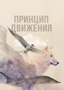 Принцип движения