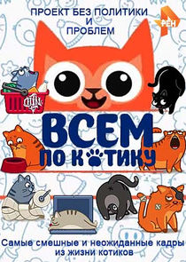 Всем по котику