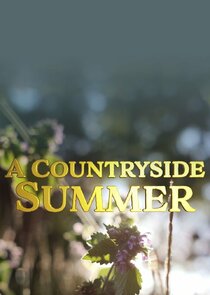 A Countryside Summer
