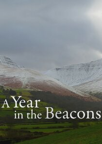A Year in the Beacons