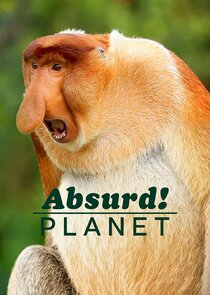 Absurd Planet