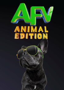 America's Funniest Home Videos: Animal Edition