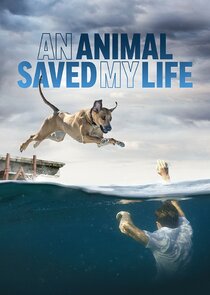 An Animal Saved My Life