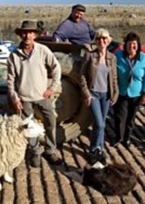 An Island Parish: Falklands