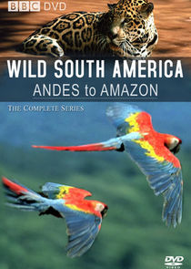 Andes to Amazon