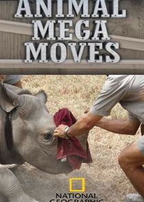 Animal Mega Moves