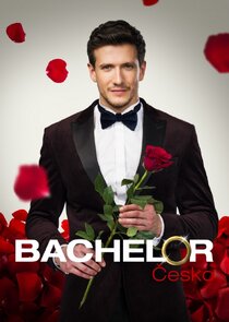 Bachelor Česko