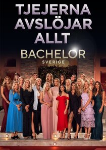 Bachelor - Tjejerna avslöjar allt