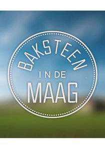 Baksteen in de Maag
