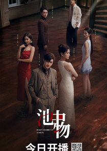 Beauty Chamber of Secrets