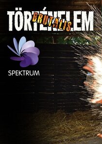 Brut&aacute;lis T&ouml;rt&eacute;nelem