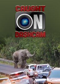Caught on Dashcam