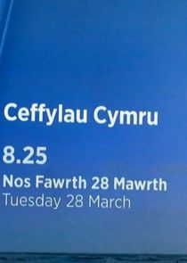 Ceffylau Cymru