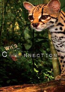 Conexi&oacute;n salvaje