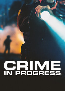 Crime in Progress