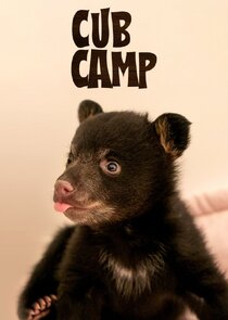 Cub Camp