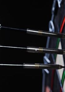 Darts: World Championships