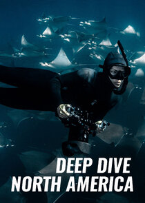 Deep Dive North America