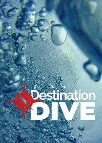 Destination Dive