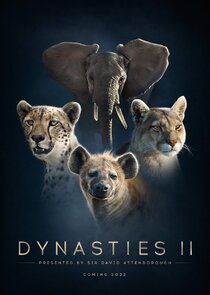 Dynasties II