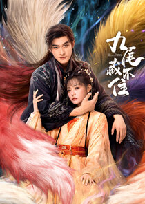 Eternal Love of the Fox