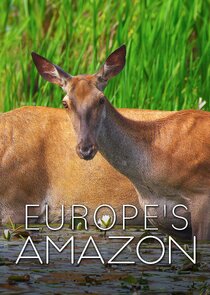 Europe's Amazon