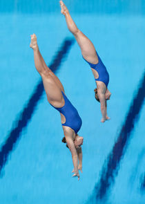 FINA Diving Championships