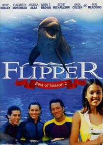 Flipper