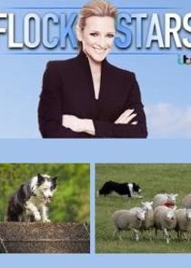 Flockstars