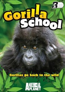 Gorilla School