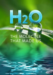 H2O: The Molecule That Made Us