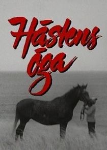 H&auml;stens &ouml;ga