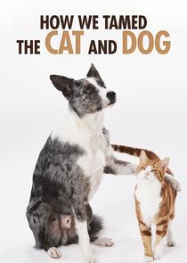 How We Tamed the Cat and Dog