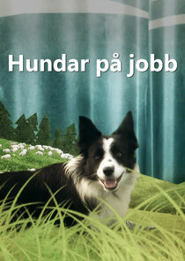 Hundar p&aring; jobb