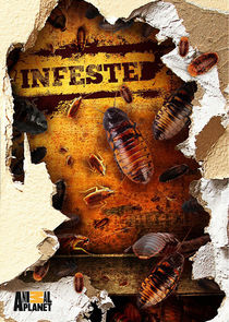 Infested!