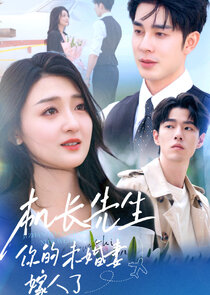 Ji Zhang Xian Sheng, Ni De Wei Hun Qi Jia Ren Le