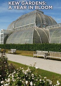 Kew Gardens: A Year in Bloom