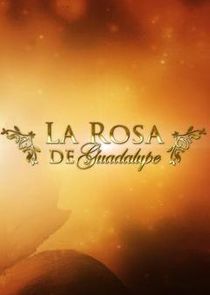 La rosa de Guadalupe
