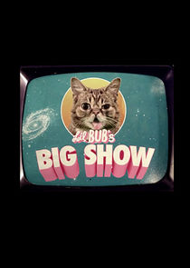 Lil BUB's Big SHOW