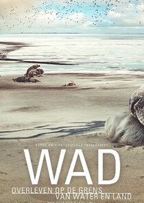 Living on the Edge: The Wadden Sea