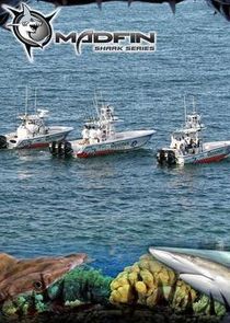 Madfin Shark Series