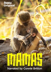 Mamas