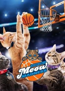 Meow Madness