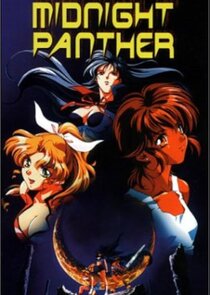 Midnight Panther